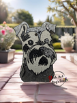 Schnauzer Dog Freshie