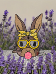 Bubblegum Bunny Freshie