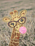 Bubblegum Giraffe Freshie