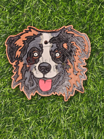 Australian Shepherd Dog Freshie